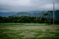 DSC_1431