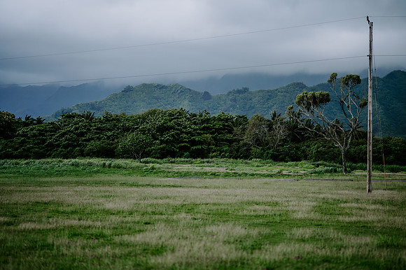 DSC_1431