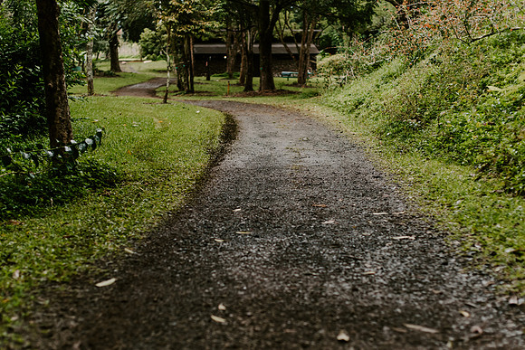 DSC_3180