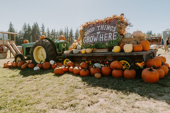 DSC09555