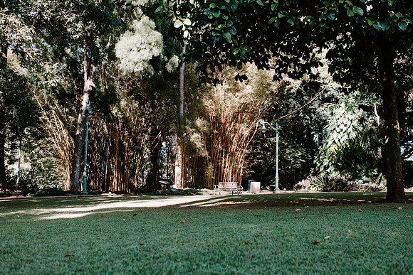 DSC_6850