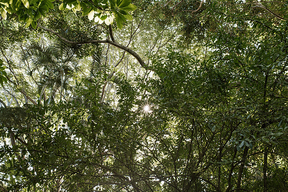 DSC_6546