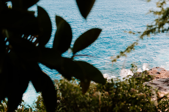 DSC_6096