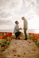 Engagement | Alex+Zaren | Turtle Bay