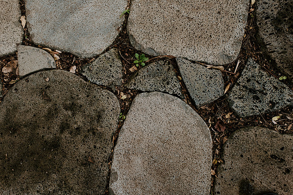 DSC_2521